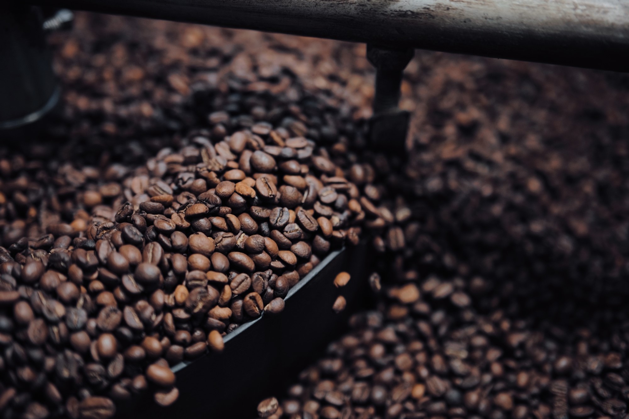 Muestreo de café