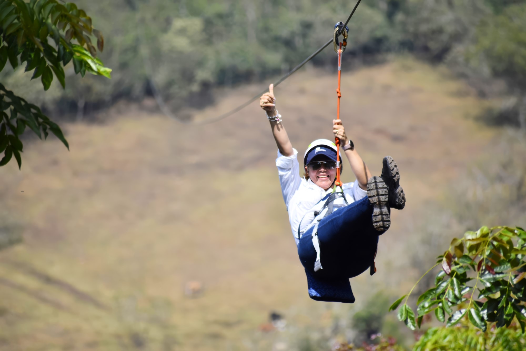 Canopy