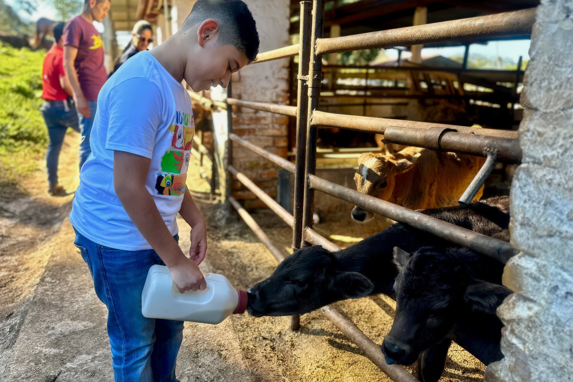 Ganado Hacienda Montecristo