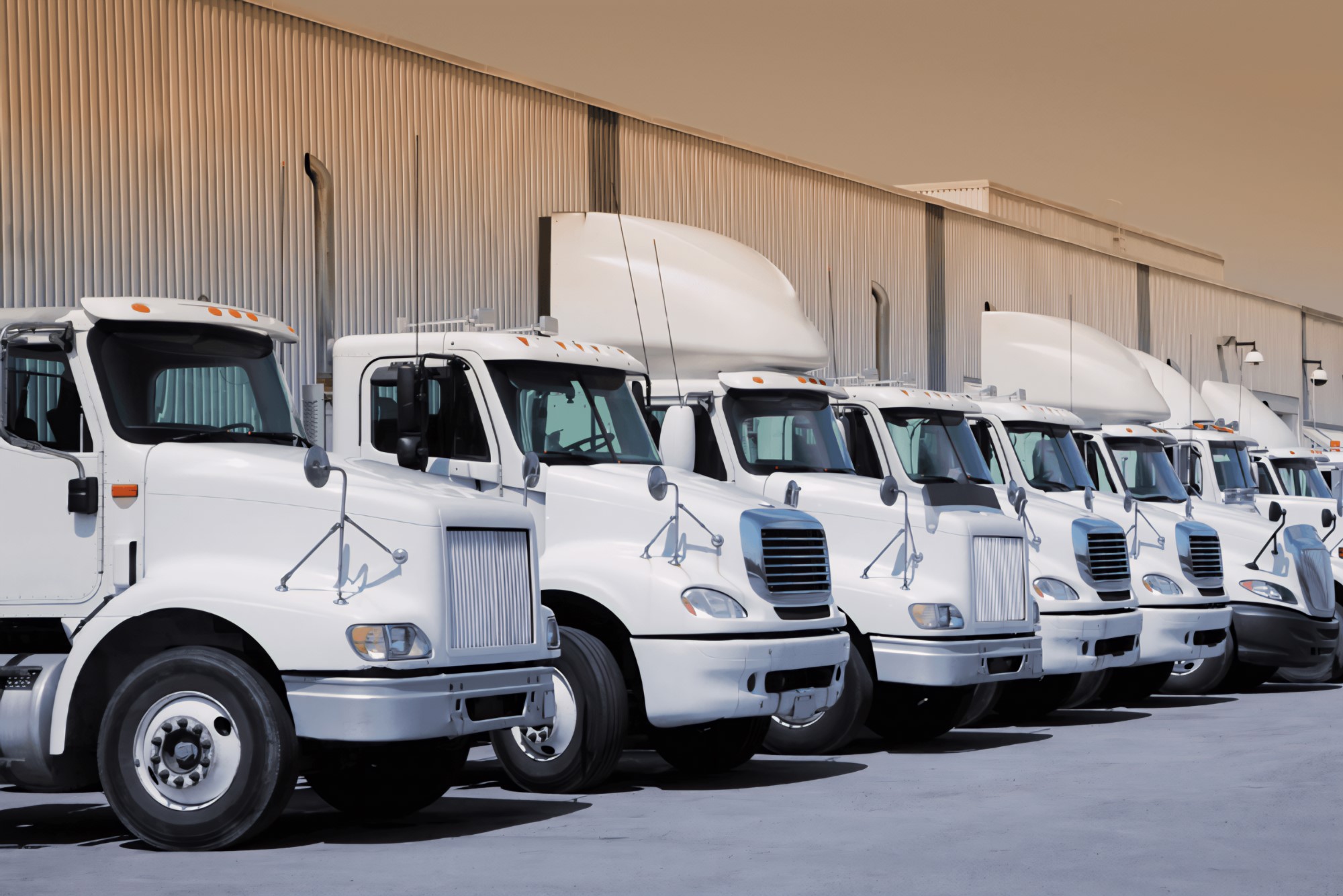 Transflosa - Cabezales