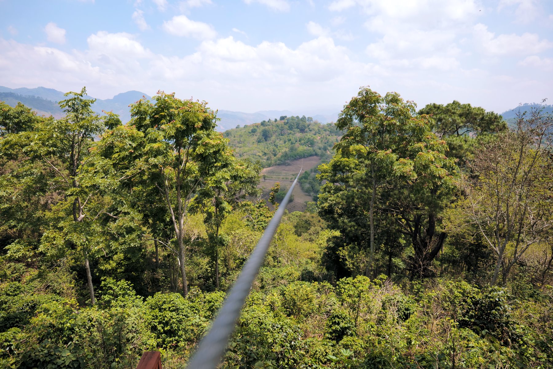 Punto de partida canopy