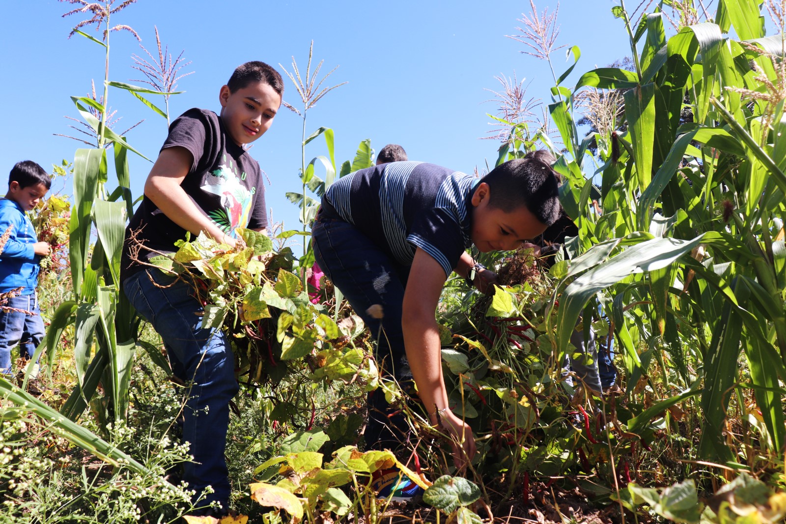 Proyecto de electrificación
