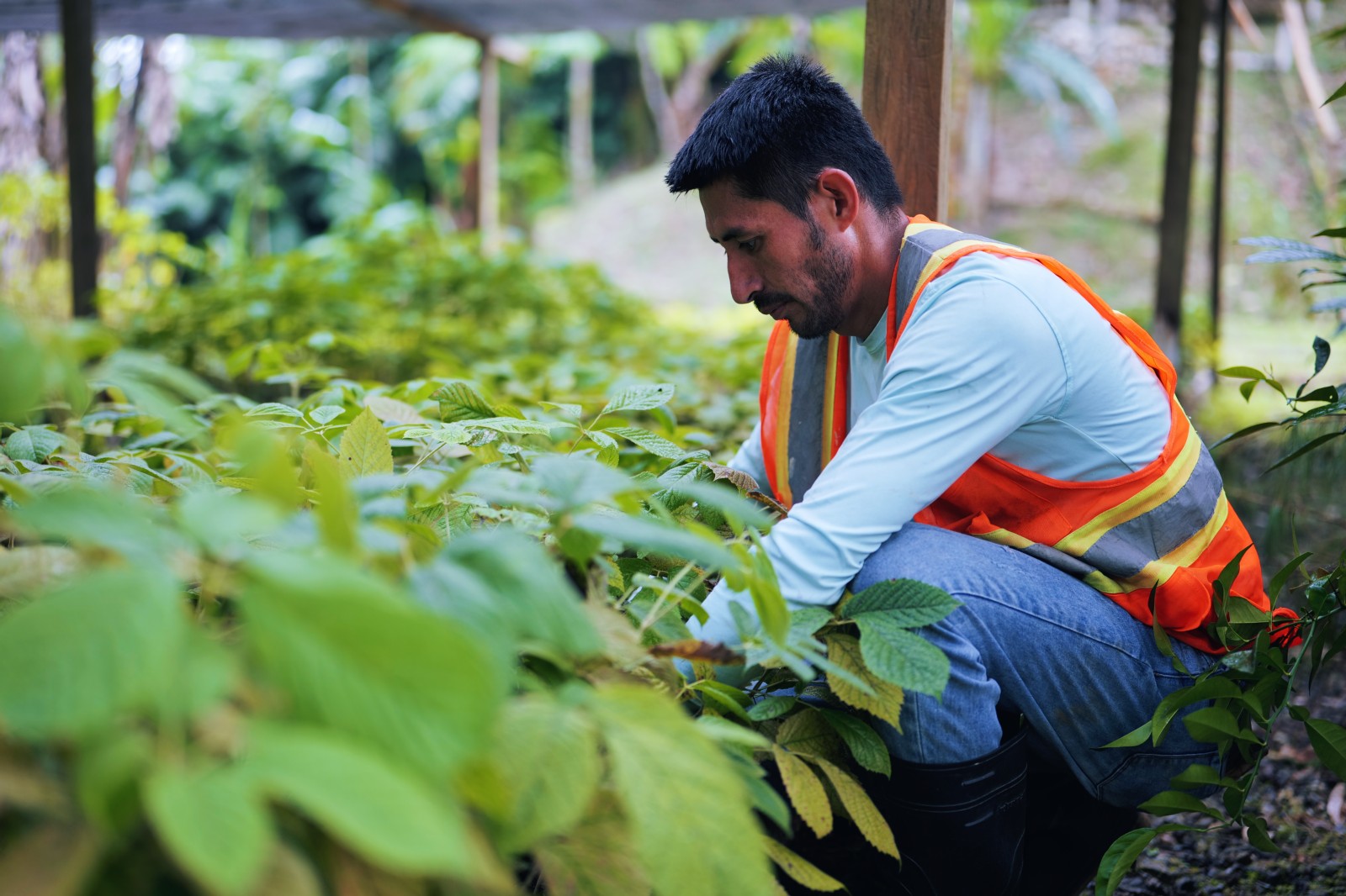 Proyecto de electrificación