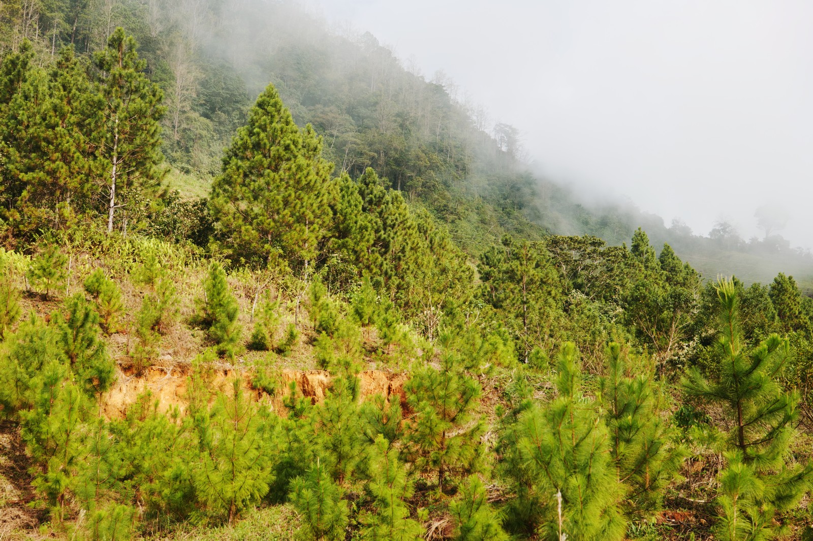 Proyecto de electrificación