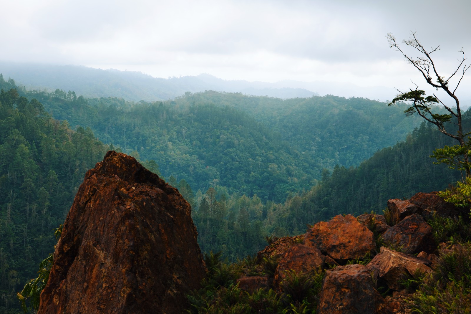 Proyecto de electrificación